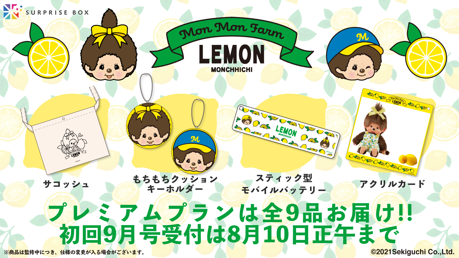 定期的にグッズをボックスでお届けするサービス「サプライズボックス