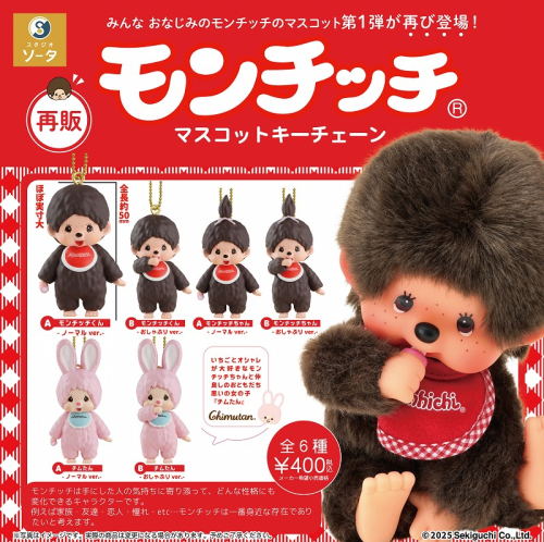 新品 2014年発売40周年記念 プードルボア 男の子 モンチッチ 429 新品 2014年発売40周年記念 プードルボア 男の子 モンチッチ 429