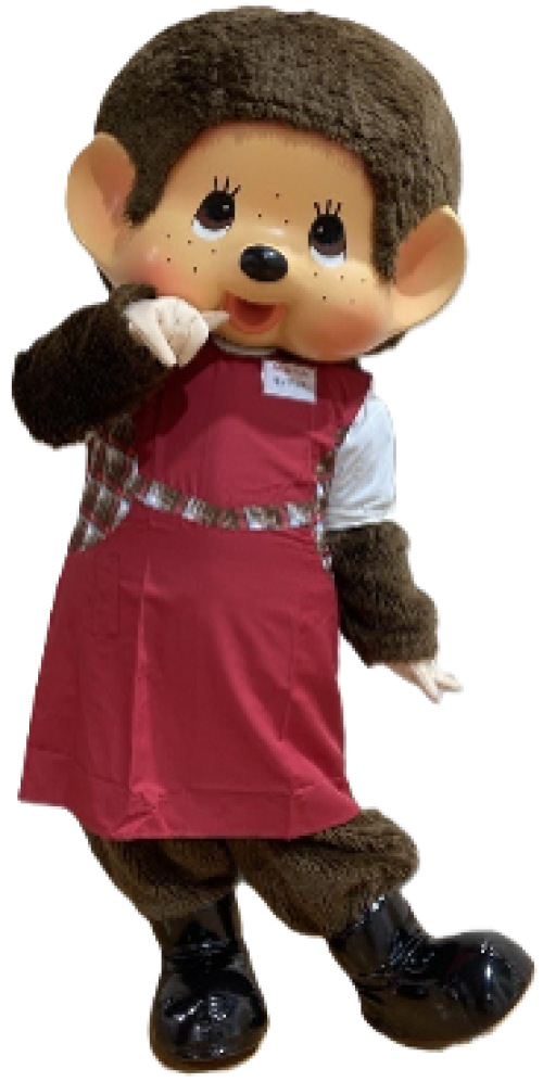 /files_thumbnail/news_news2_corabo_acecook_2025_mccaoki1_w500px_h997px.png